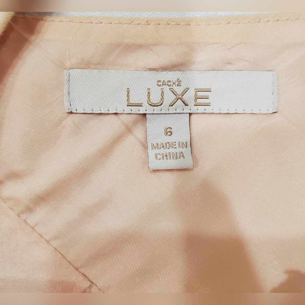 Luxe Beige Embroidered Mini Dress - Picture 4 of 4